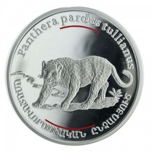 Реверс монеты Армения, 100 драмов, 2007, Анатолийский леопард