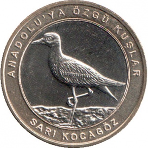 Реверс монеты Турция, 1 куруш, 2019, Авдотка /кольцо желтого цвета/