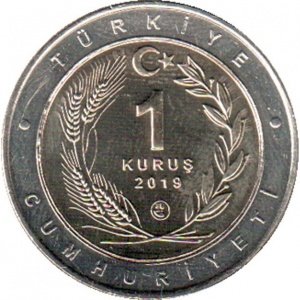 Аверс монеты Турция, 1 куруш, 2019, Горлица /кольцо серого цвета/