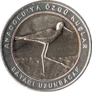 Реверс монеты Турция, 1 куруш, 2019, Ходулочник /кольцо серого цвета/