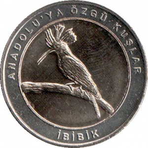 Реверс монеты Турция, 1 куруш, 2019, Удод /кольцо серого цвета/
