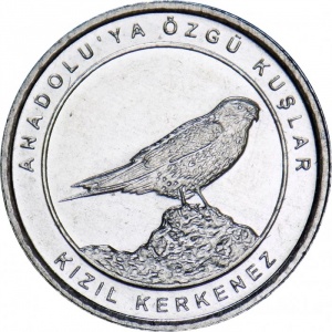 Реверс монеты Турция, 1 куруш, 2020, Пустельга /Kizil Kerkenez/