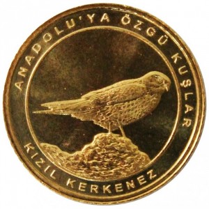 Реверс монеты Турция, 1 куруш, 2021, Пустельга /Kizil Kerkenez/