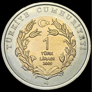Аверс монеты Турция, 1 лира, 2009, Морская черепаха
