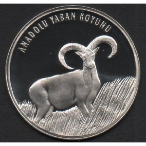 Реверс монеты Турция, 20 новых лир, 2005, Анатолийский муфлон