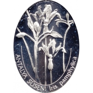 Реверс монеты Турция, 7.500.000 лир, 2002, Турецкие цветы - Iris Pamphylica