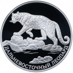 Реверс