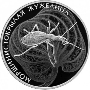 Реверс монеты Россия, 2 рубля, 2024, Морщинистокрылая жужелица