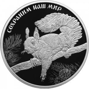 Реверс монеты Россия, 3 рубля, 2023, Сохраним наш мир - Белка обыкновенная