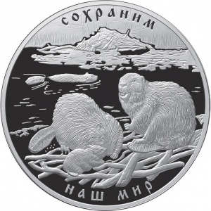 Реверс монеты Россия, 100 рублей, 2008, Сохраним наш мир - Речной бобр