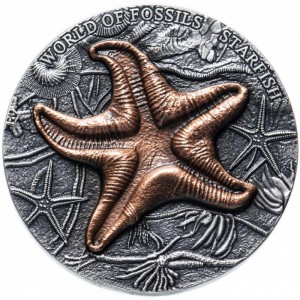 Реверс монеты Ниуэ, 2 доллара, 2019, Мир окаменелостей - Морская звезда