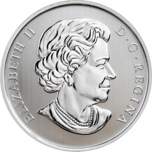 Аверс монеты Канада, 25 центов, 2014, Водяная лилия и леопардовая лягушка