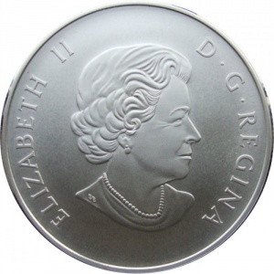 Аверс монеты Канада, 50 долларов, 2014, Полярный медведь