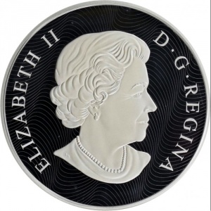 Аверс монеты Канада, 100 долларов, 2015, Альберт Эйнштейн