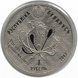 Аверс монеты Беларусь, 1 рубль, 2005, Альманские болота