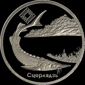 Реверс монеты Беларусь, 1 рубль, 2007, Днепро-Сожский