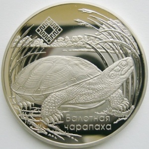 Реверс монеты Беларусь, 1 рубль, 2010, Средняя Припять