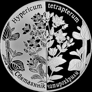 Реверс монеты Беларусь, 1 рубль, 2014, Зверобой четырёхкрылый