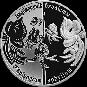 Реверс монеты Беларусь, 1 рубль, 2016, Надбородник безлистный