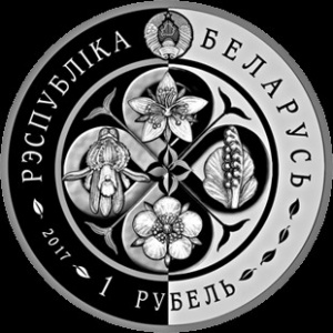 Аверс монеты Беларусь, 1 рубль, 2017, Лапчатка скальная (Potentilla rupestris)