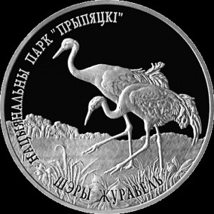 Реверс монеты Беларусь, 20 рублей, 2004, Национальный парк "Припятский" - Серый журавль