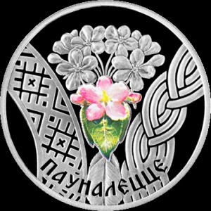 Реверс монеты Беларусь, 20 рублей, 2010, Совершеннолетие