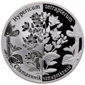 Реверс монеты Беларусь, 20 рублей, 2013, Зверобой четырёхкрылый