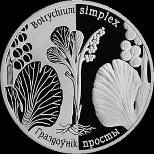 Реверс монеты Беларусь, 20 рублей, 2014, Гроздовник простой