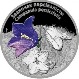 Реверс монеты Беларусь, 20 рублей, 2014, Цветы - Колокольчик персиколистный