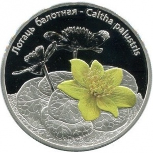 Реверс монеты Беларусь, 20 рублей, 2014, Цветы - Калужница болотная