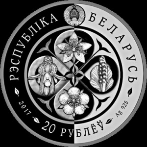 Аверс монеты Беларусь, 20 рублей, 2017, Лапчатка скальная (Potentilla rupestris)