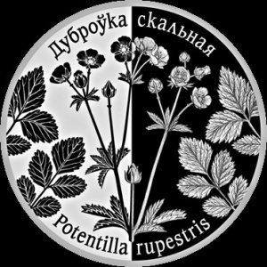 Реверс монеты Беларусь, 20 рублей, 2017, Лапчатка скальная (Potentilla rupestris)