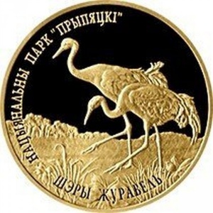 Реверс монеты Беларусь, 50 рублей, 2006, национальный парк «Припятский» - Серый журавль