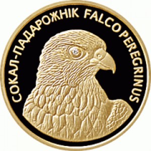 Реверс монеты Беларусь, 50 рублей, 2006, Защита окружающей среды - Сапсан