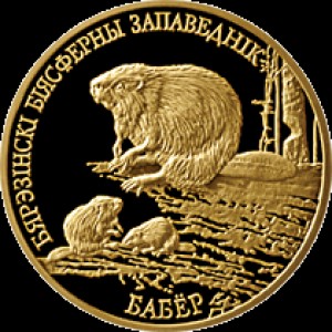 Реверс монеты Беларусь, 50 рублей, 2006, Березинский биосферный заповедник - Бобр