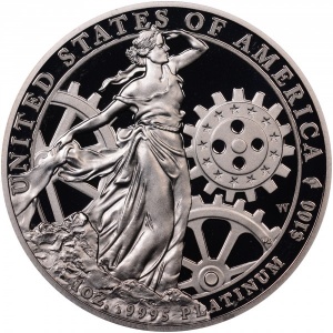 Реверс монеты США, 100 долларов, 2013, Американский Платиновый орел