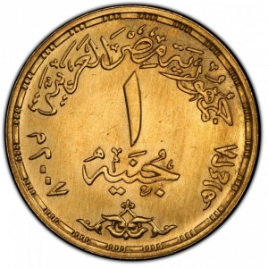 Аверс монеты Египет, 1 фунт, 2007, 25 лет Агентству по охране окружающей среды Египта