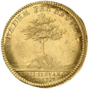 Реверс монеты Саксен-Гота-Альтенбург, 1 дукат, 1717, 200 лет реформации