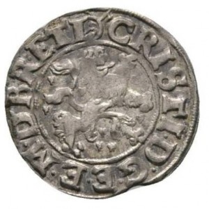 Аверс монеты Брауншвейг-Люнебург-Целле, 1/24 талера, 1619