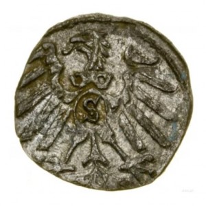 Реверс монеты Пруссия, 1 пфенниг, 1558-1563