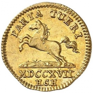 Реверс монеты Брауншвейг-Вольфенбюттель, ¼ дуката, 1717-1718