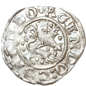 Реверс монеты Брауншвейг-Вольфенбюттель, 1/24 талера, 1617-1619