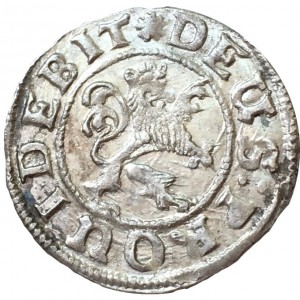 Реверс монеты Брауншвейг-Вольфенбюттель, 1/24 талера, 1619