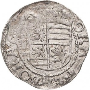 Аверс монеты Брауншвейг-Вольфенбюттель, 12 крейцеров, 1619