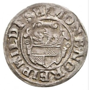 Аверс монеты Город Хильдесхайм, 1/24 талера, 1614-1616