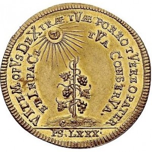 Реверс монеты Регенсбург, 1 дукат, 1742, 200 лет Реформации