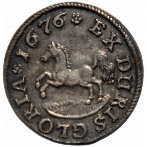 Аверс монеты Герцогство Брауншвейг, 4 мариенгроша, 1676