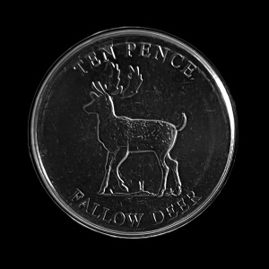 Реверс монеты Гернси, 10 пенсов, 2021, Лесные млекопитающие. Лань
