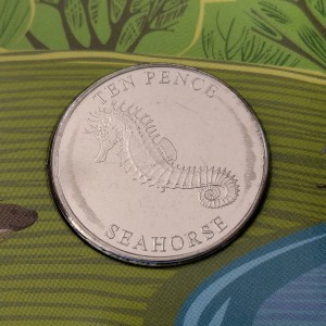Реверс монеты Гернси, 10 пенсов, 2024, Прибрежная фауна. Морской конёк
