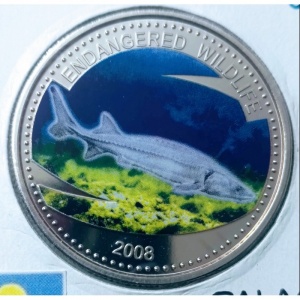 Реверс монеты Палау, 1 доллар, 2008, Вымирающие виды - Осетр